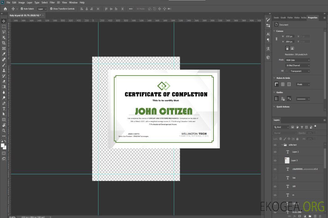 Certificat d'expérience aux États-Unis template